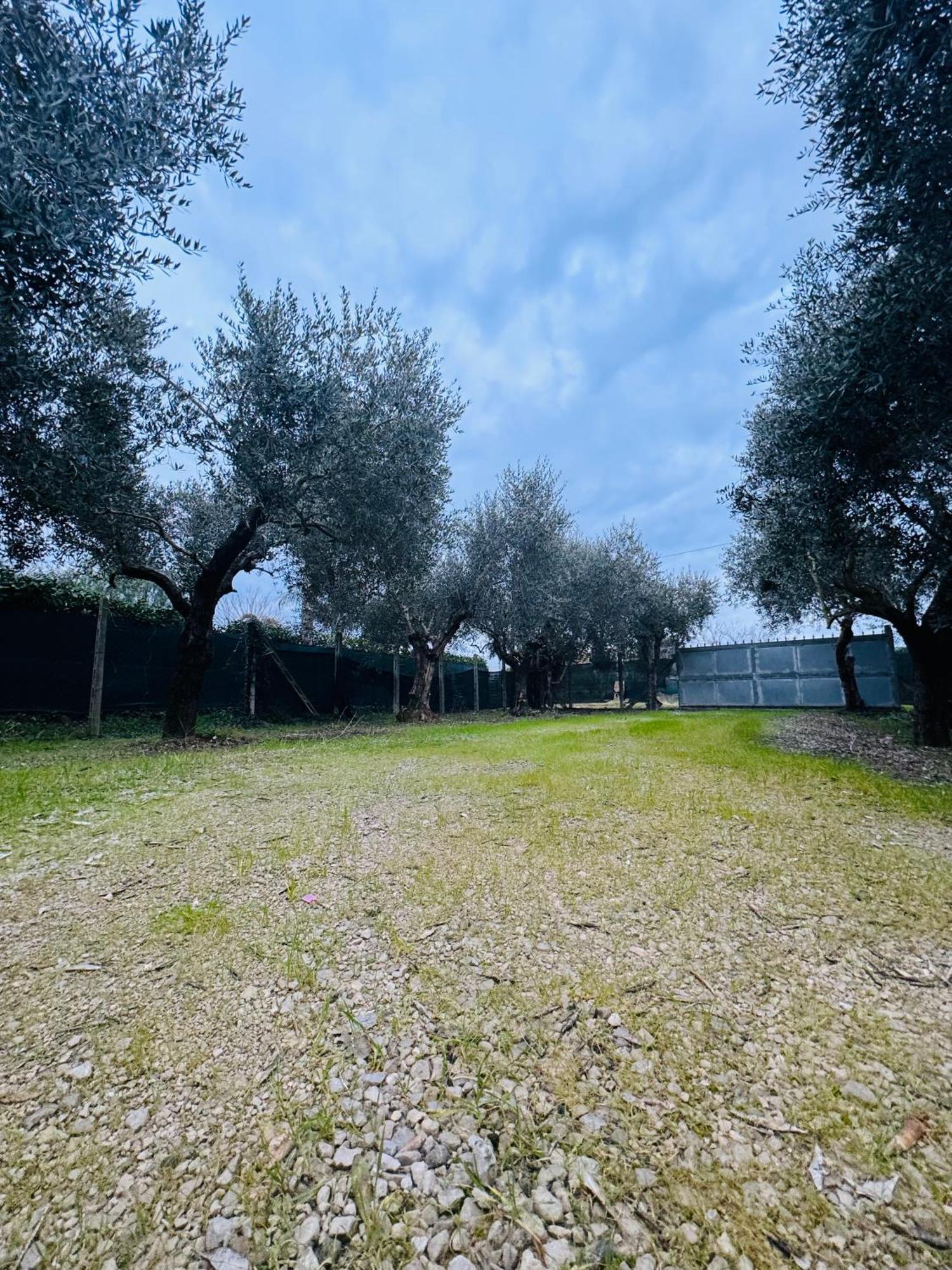 La Perla Di Dea Villa Lido Di Fondi Exterior foto